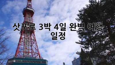 삿포로 3박 4일 완벽 여행 일정