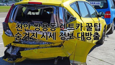 천안 쌍용동 렌트카 꿀팁🍯: 숨겨진 시세 정보 대방출!