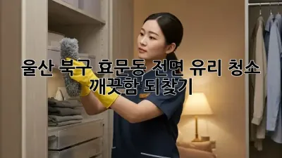 울산 북구 효문동 전면 유리 청소, 깨끗함 되찾기 ✨